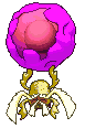 Rabsca variocolor