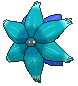 Glimmora variocolor