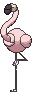Flamigo variocolor