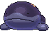 Clodsire variocolor