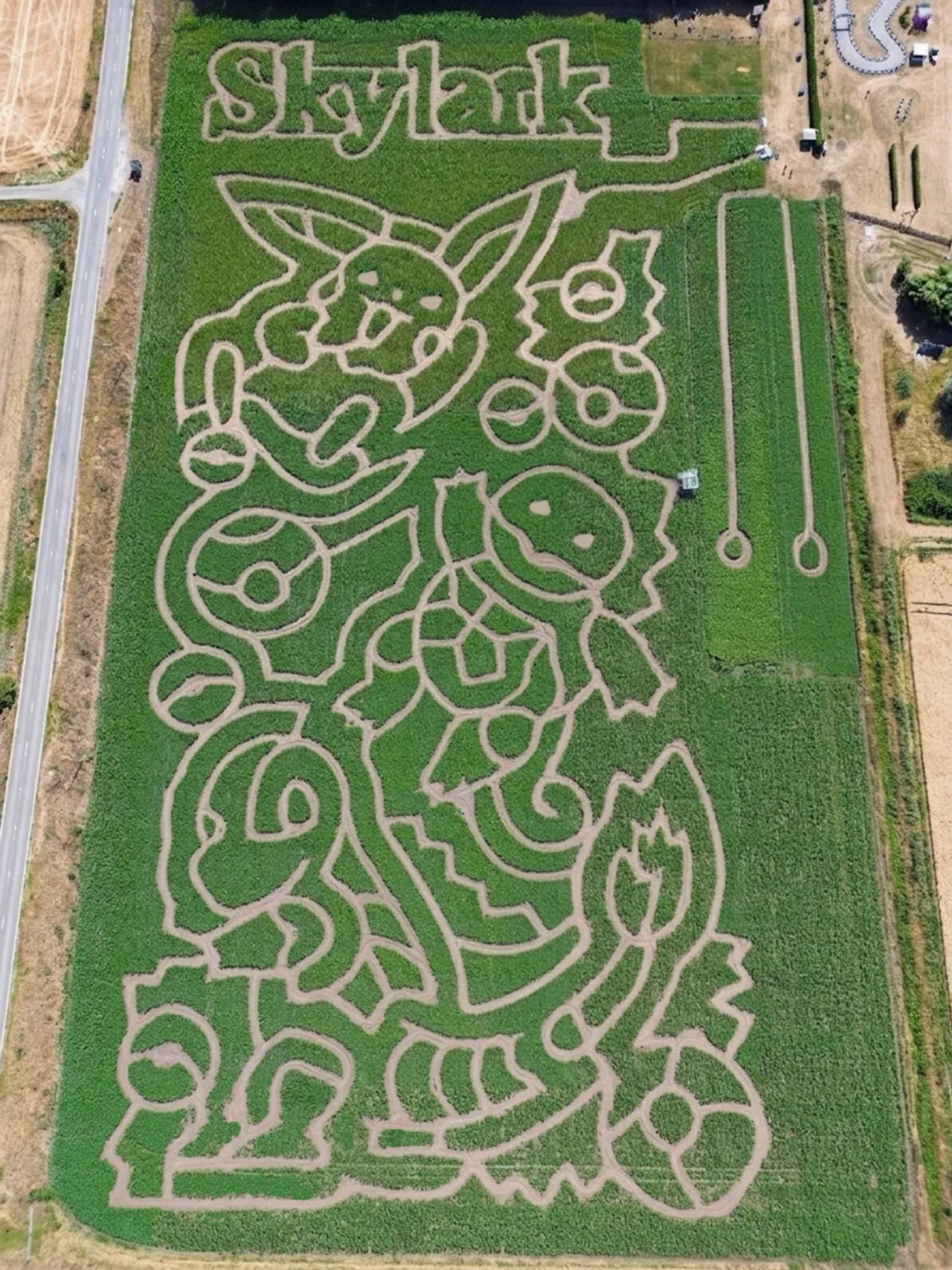 Laberinto de ma&iacute;z de Pok&eacute;mon por su 30 aniversario - Detalle 1