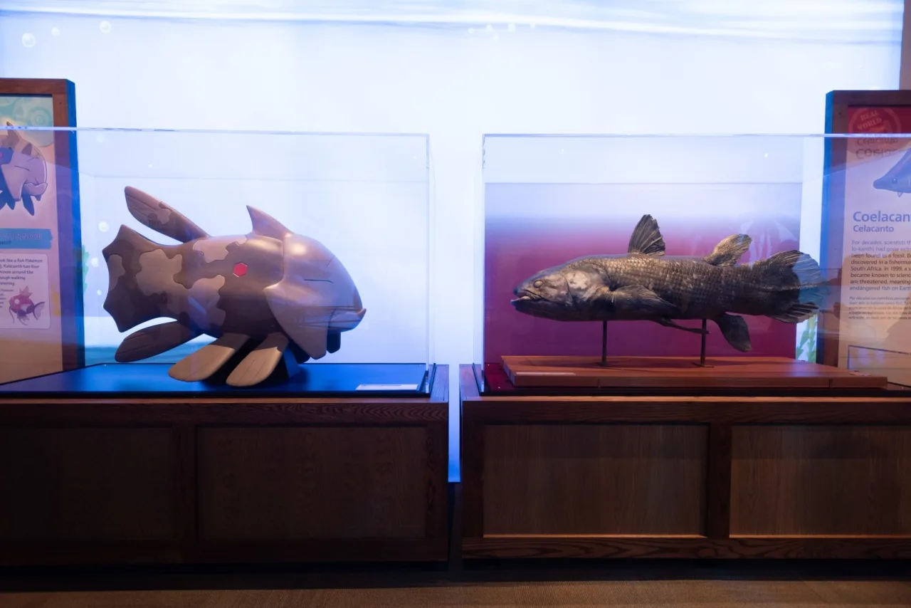 Modelo de Relicanth junto a un celacanto en el Pok&eacute;mon Fossil Museum