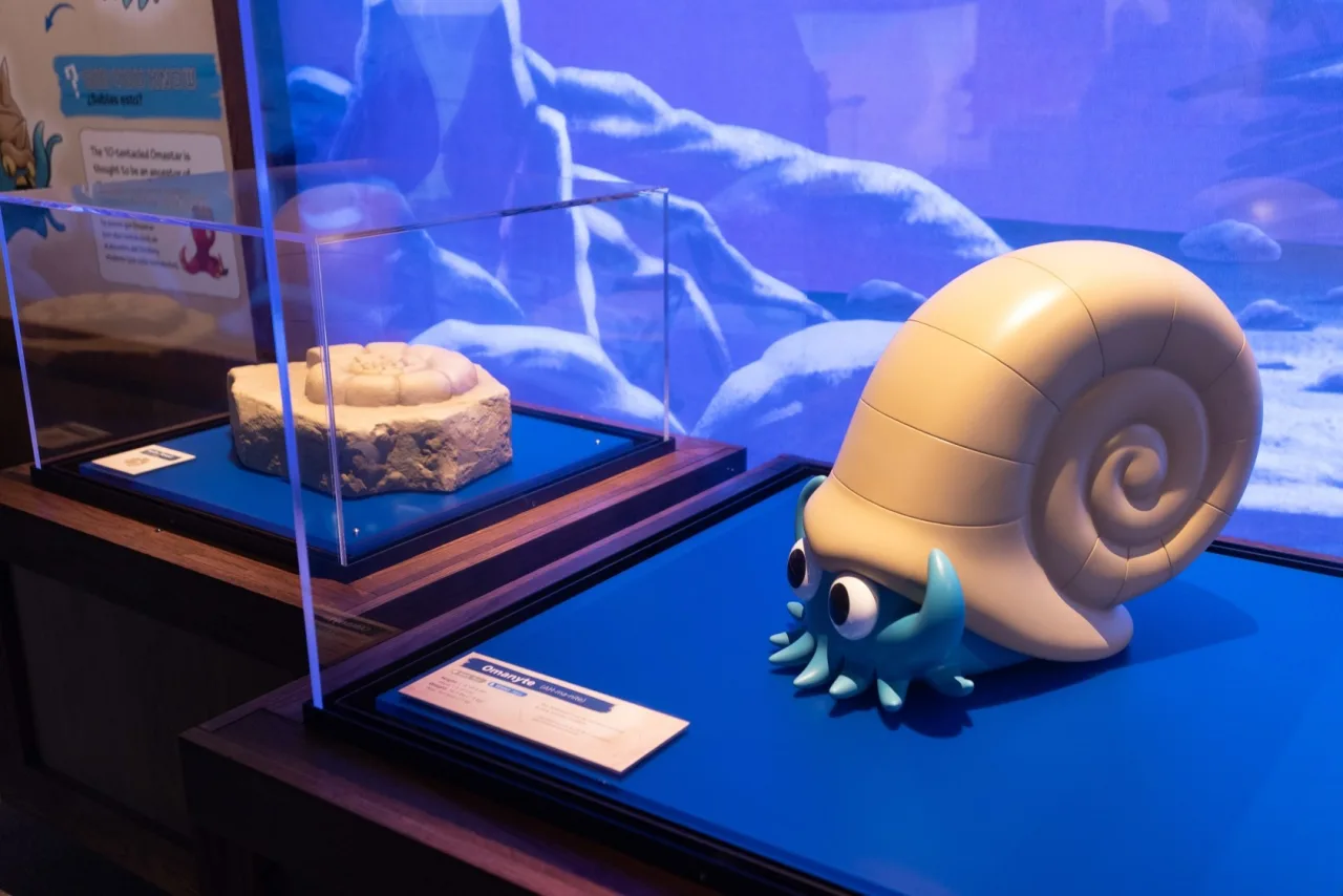 Omanyte expuesto junto a un f&oacute;sil de ammonite en el Pok&eacute;mon Fossil Museum