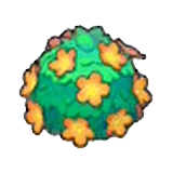 Arbusto adorable (naranja) en Pokémon Pokopia