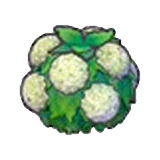 Arbusto delicado (blanco) en Pokémon Pokopia