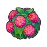 Arbusto delicado (rojo) en Pokémon Pokopia