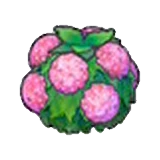 Arbusto delicado (rosa) en Pokémon Pokopia