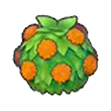 Arbusto elegante (naranja) en Pokémon Pokopia