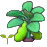 Brote de habas en Pokémon Pokopia