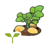 Brote de patatas en Pokémon Pokopia