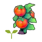 Brote de tomates en Pokémon Pokopia