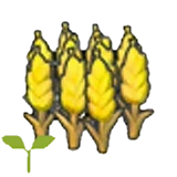 Brote de trigo en Pokémon Pokopia