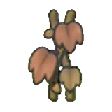 Enredadera seca en Pokémon Pokopia
