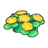 Flores costeras (amarillas) en Pokémon Pokopia