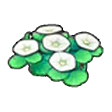 Flores costeras (blancas) en Pokémon Pokopia