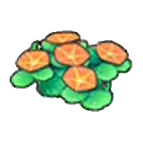 Flores costeras (naranjas) en Pokémon Pokopia