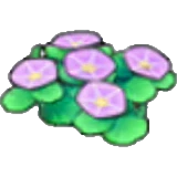 Flores costeras en Pokémon Pokopia