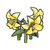 Flores elegantes (amarillas) en Pokémon Pokopia