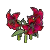 Flores elegantes (rojas) en Pokémon Pokopia