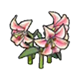 Flores elegantes (rosas) en Pokémon Pokopia