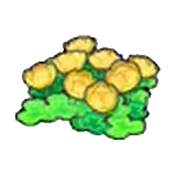 Flores isleñas (amarillas) en Pokémon Pokopia