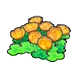 Flores isleñas (naranjas) en Pokémon Pokopia