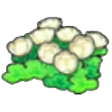Flores isleñas en Pokémon Pokopia