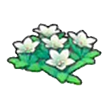 Flores rocosas (blancas) en Pokémon Pokopia
