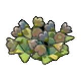 Flores silvestres secas en Pokémon Pokopia