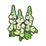 Flores vigorosas (blancas) en Pokémon Pokopia