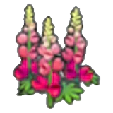 Flores vigorosas en Pokémon Pokopia