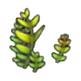 Helecho en Pokémon Pokopia