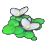 Lentejas de agua en flor en Pokémon Pokopia