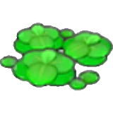 Lentejas de agua en Pokémon Pokopia