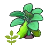 Planta de habas en flor en Pokémon Pokopia