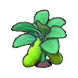 Planta de habas madura en Pokémon Pokopia