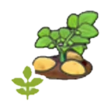 Planta de patatas en flor en Pokémon Pokopia