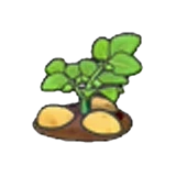 Planta de patatas madura en Pokémon Pokopia