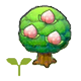 Plantón de árbol meloc en Pokémon Pokopia