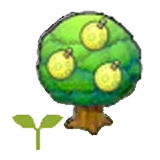 Plantón de árbol perasi en Pokémon Pokopia
