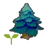 Plantón de árbol picudo en Pokémon Pokopia