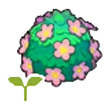 Plantón de arbusto adorable en Pokémon Pokopia