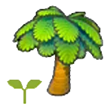 Plantón de palmera en Pokémon Pokopia