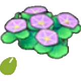 Semillas de flor costera en Pokémon Pokopia