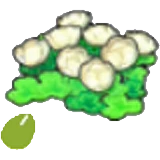 Semillas de flor isleña en Pokémon Pokopia
