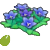 Semillas de flor rocosa en Pokémon Pokopia