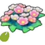 Semillas de flor silvestre en Pokémon Pokopia