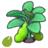Semillas de haba en Pokémon Pokopia
