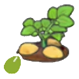 Semillas de patata en Pokémon Pokopia