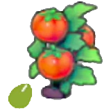 Semillas de tomate en Pokémon Pokopia